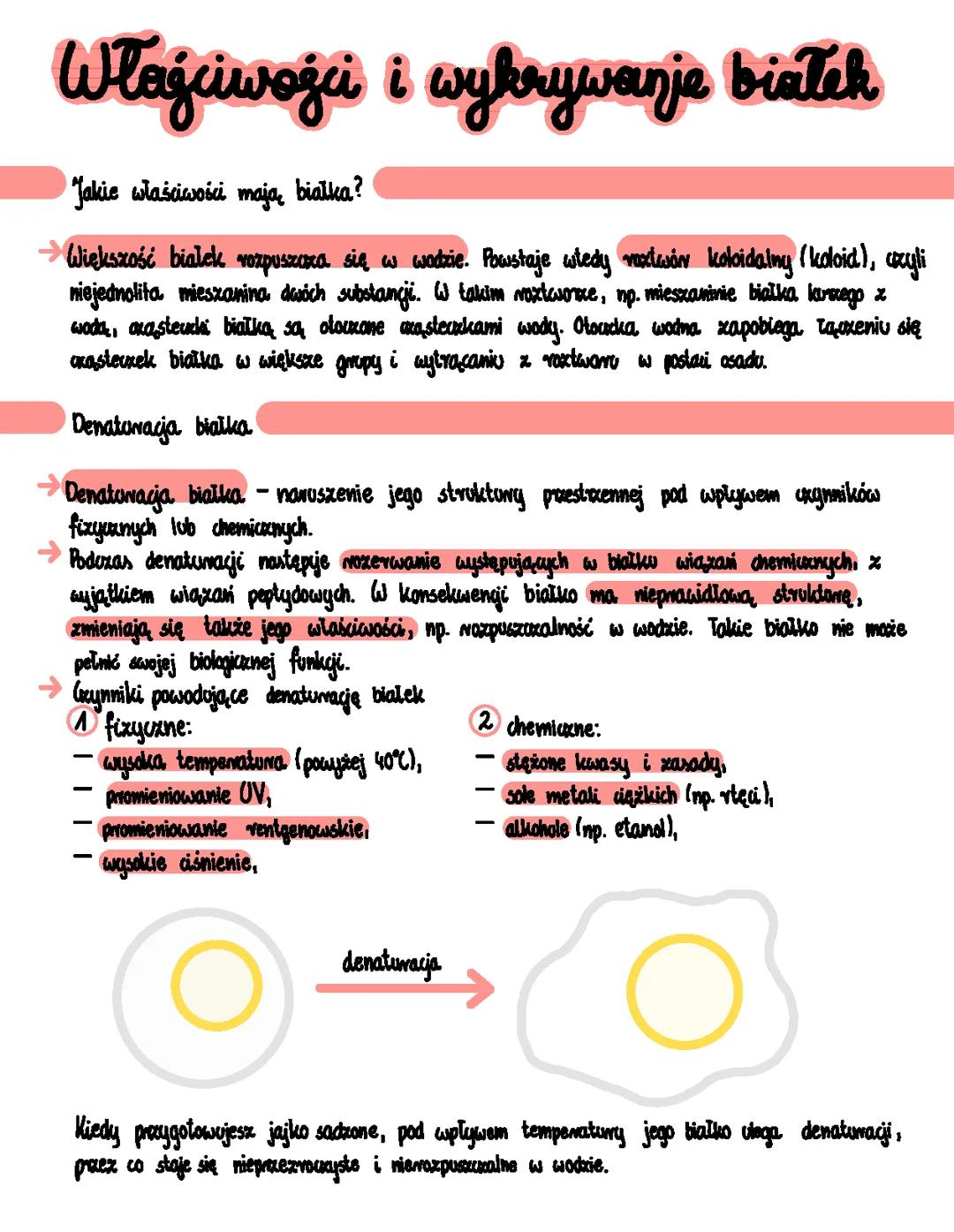 Właściwości i wykrywanie białek