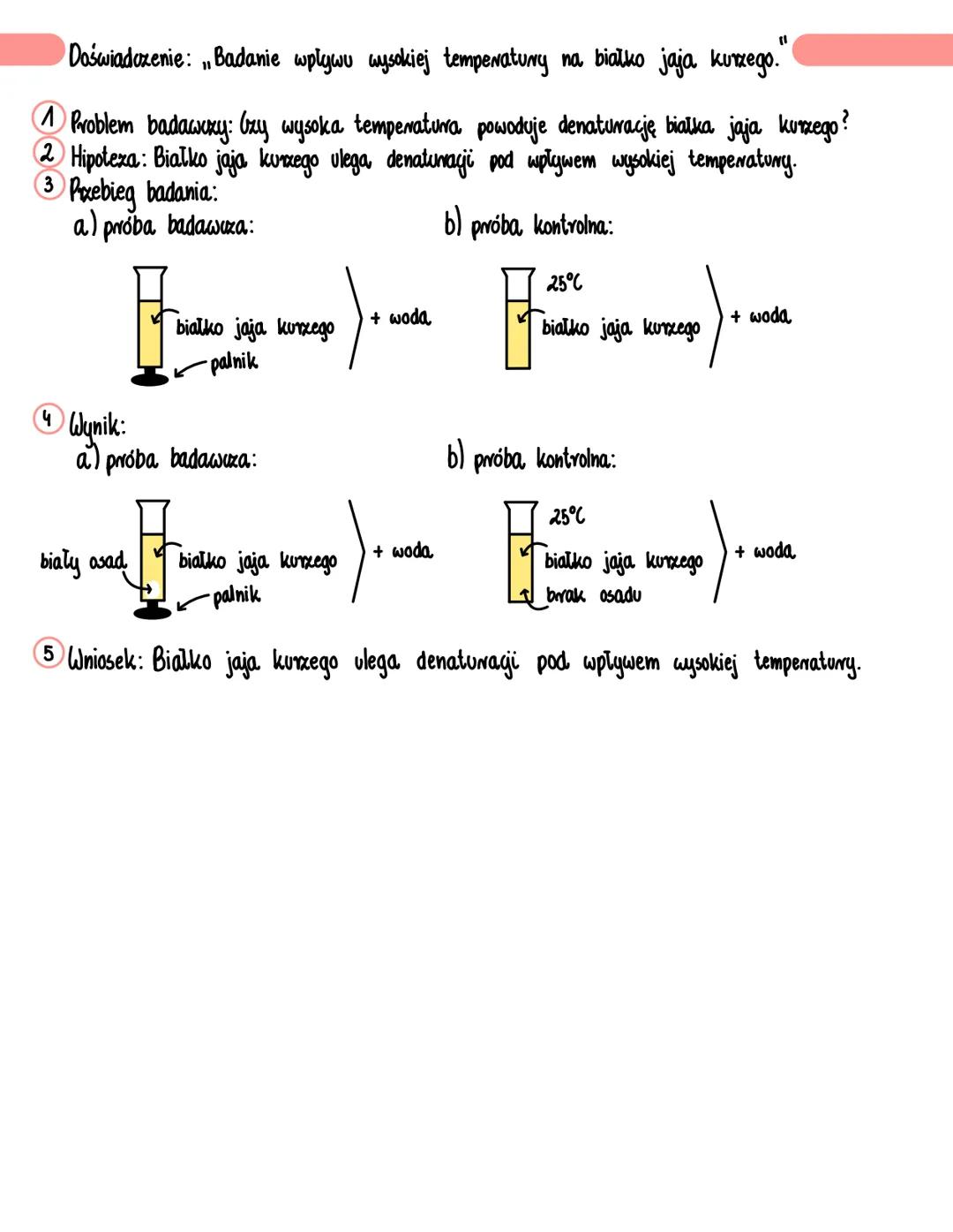 --- OCR Start ---
Właściwości i wykrywanje białek
Jakie właściwości mają białka?
Większość białek vozpuszcza się w wodzie. Powstaje wtedy vo