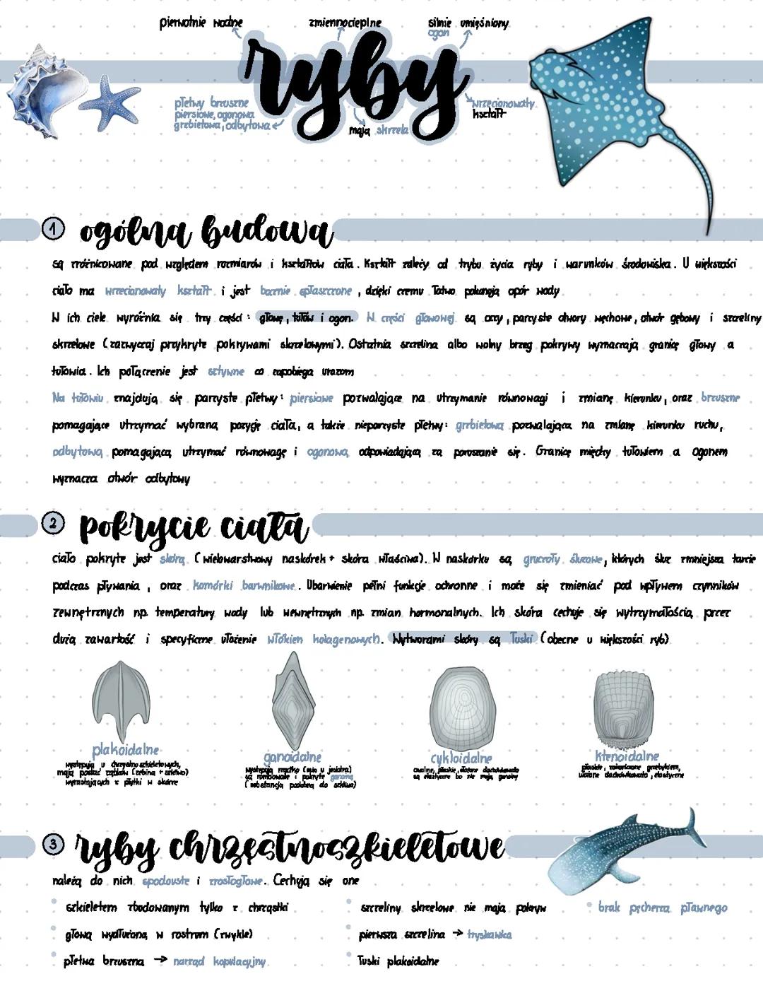 ryby biologia rozszerzona