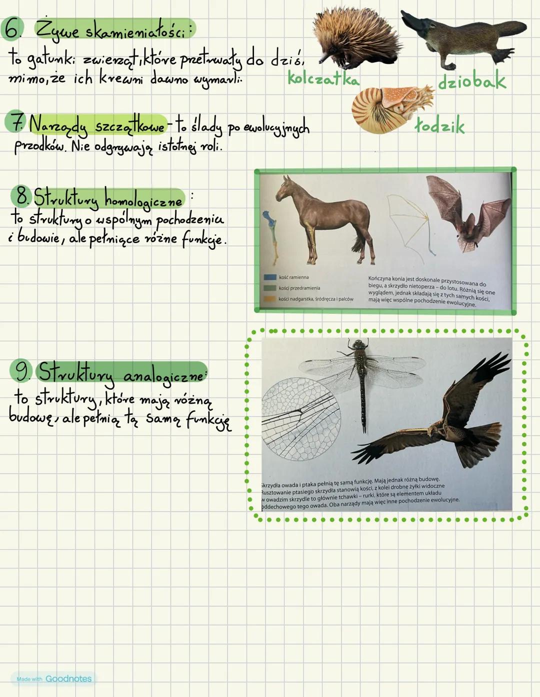 # Zrodla wiedzy o ewolucji
1. Ewolucja-proces stopniowych zmian budowy ciała, sposobu życia i imych
cech gatunkowych, prowadzący do powstan