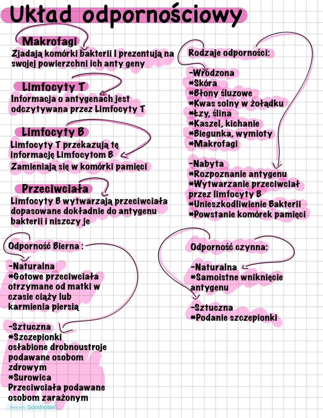 Układ odpornościowy