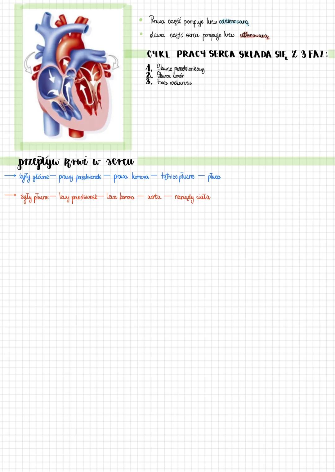 # Biologia
# uktad krwionośny
krew
*   osocze
*   erytrocyty
*   leukocyty
*   płytki krwi
serce
4 jamy
*   prousa komora
*   prowy przed
