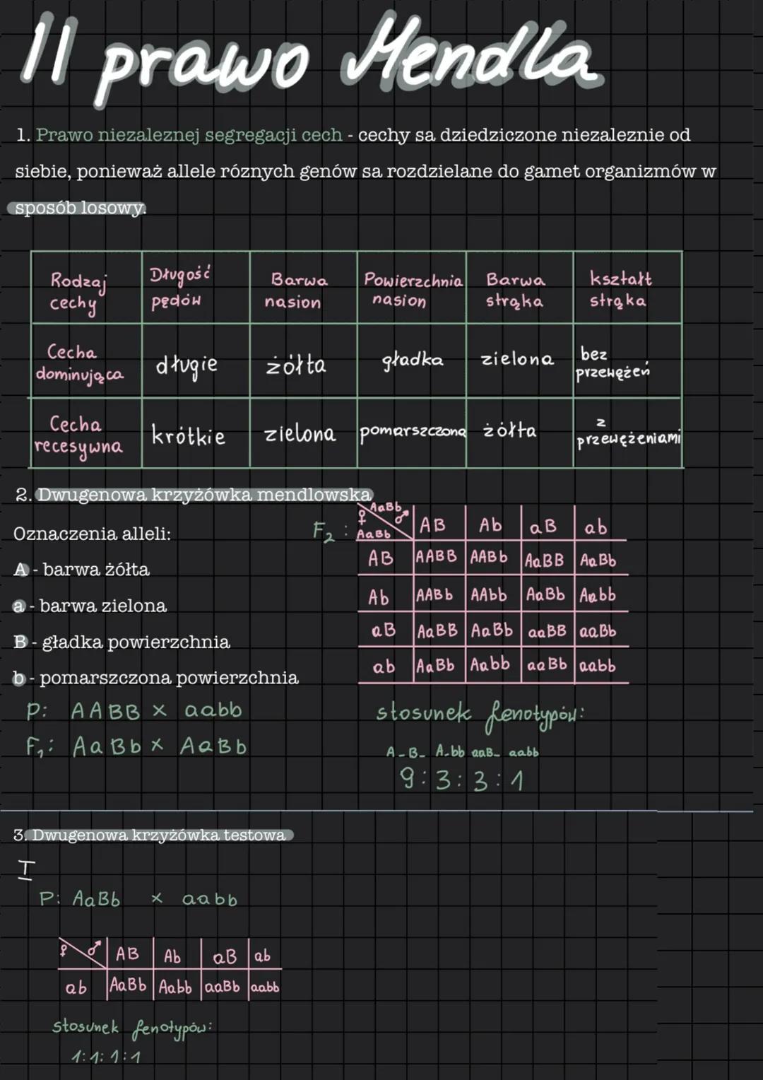 # Il prawo Mendla
1. Prawo niezaleznej segregacji cech - cechy sa dziedziczone niezaleznie od
siebie, ponieważ allele róznych genów sa rozd