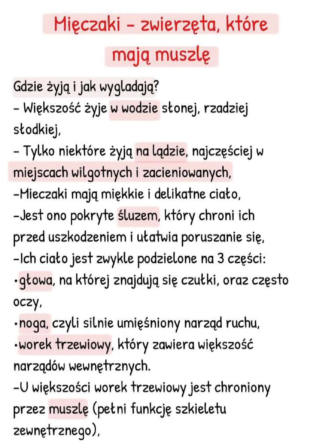 Mięczaki - zwierzęta, które mają muszlę.