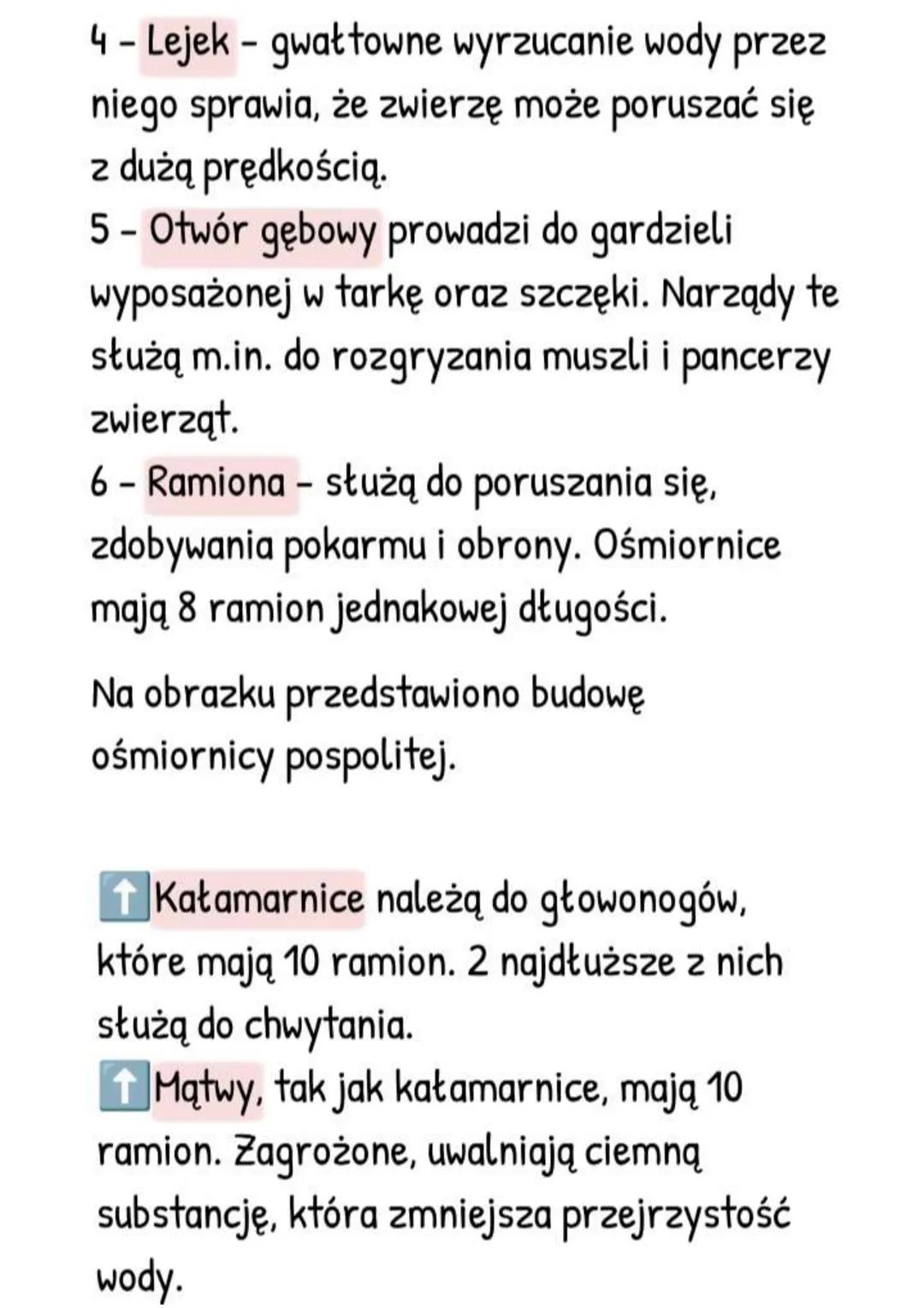 --- OCR Start ---
Mięczaki - zwierzęta, które
mają muszlę
Gdzie żyją i jak wygladają?
- Większość żyje w wodzie słonej, rzadziej
słodkiej,
-