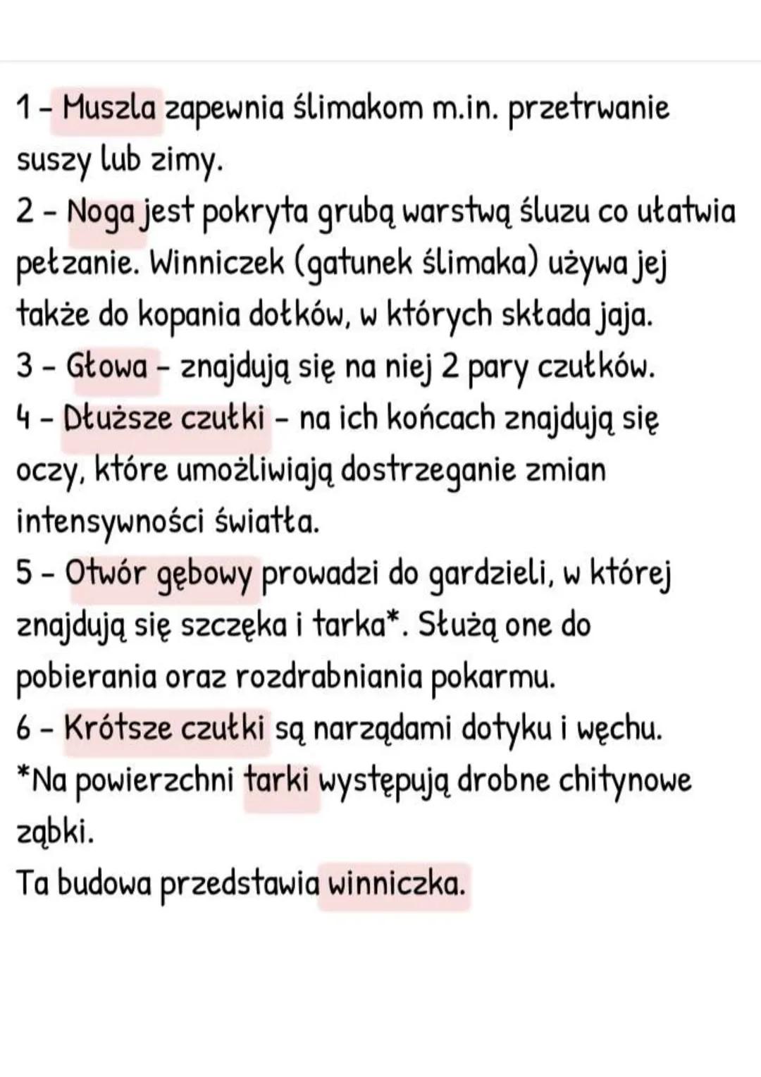--- OCR Start ---
Mięczaki - zwierzęta, które
mają muszlę
Gdzie żyją i jak wygladają?
- Większość żyje w wodzie słonej, rzadziej
słodkiej,
-