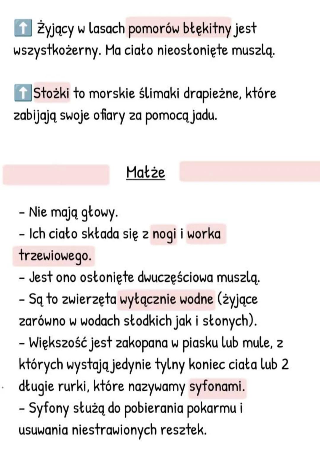 --- OCR Start ---
Mięczaki - zwierzęta, które
mają muszlę
Gdzie żyją i jak wygladają?
- Większość żyje w wodzie słonej, rzadziej
słodkiej,
-