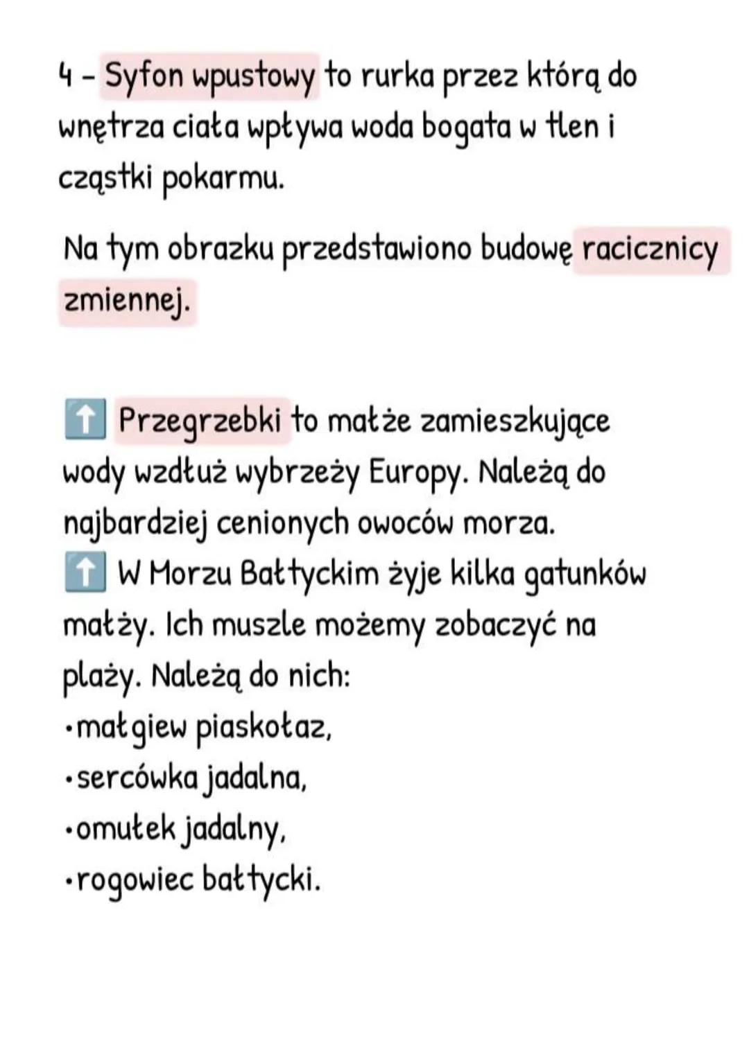 --- OCR Start ---
Mięczaki - zwierzęta, które
mają muszlę
Gdzie żyją i jak wygladają?
- Większość żyje w wodzie słonej, rzadziej
słodkiej,
-