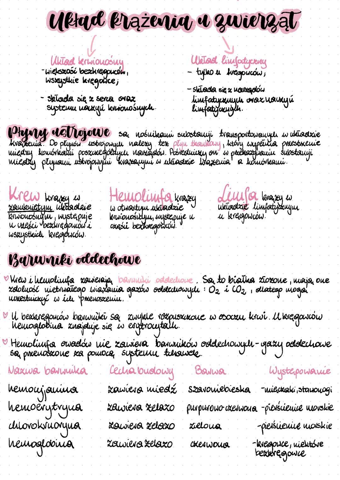 Układ krążenia u zwierząt