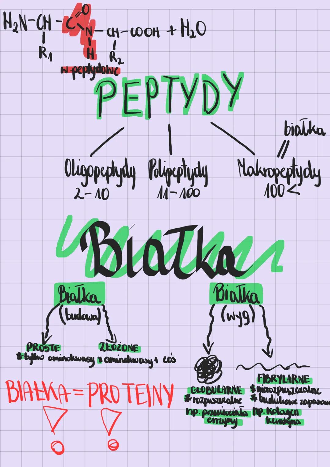 # Aminokwasy
Białko to budlec
-aminokwas
Bialko
to POLIMER !
fragment białka
Skład pierwiastkowy: C,H,O,N (5 czaść)
# AMINOKWAS
H
(gr.aminow