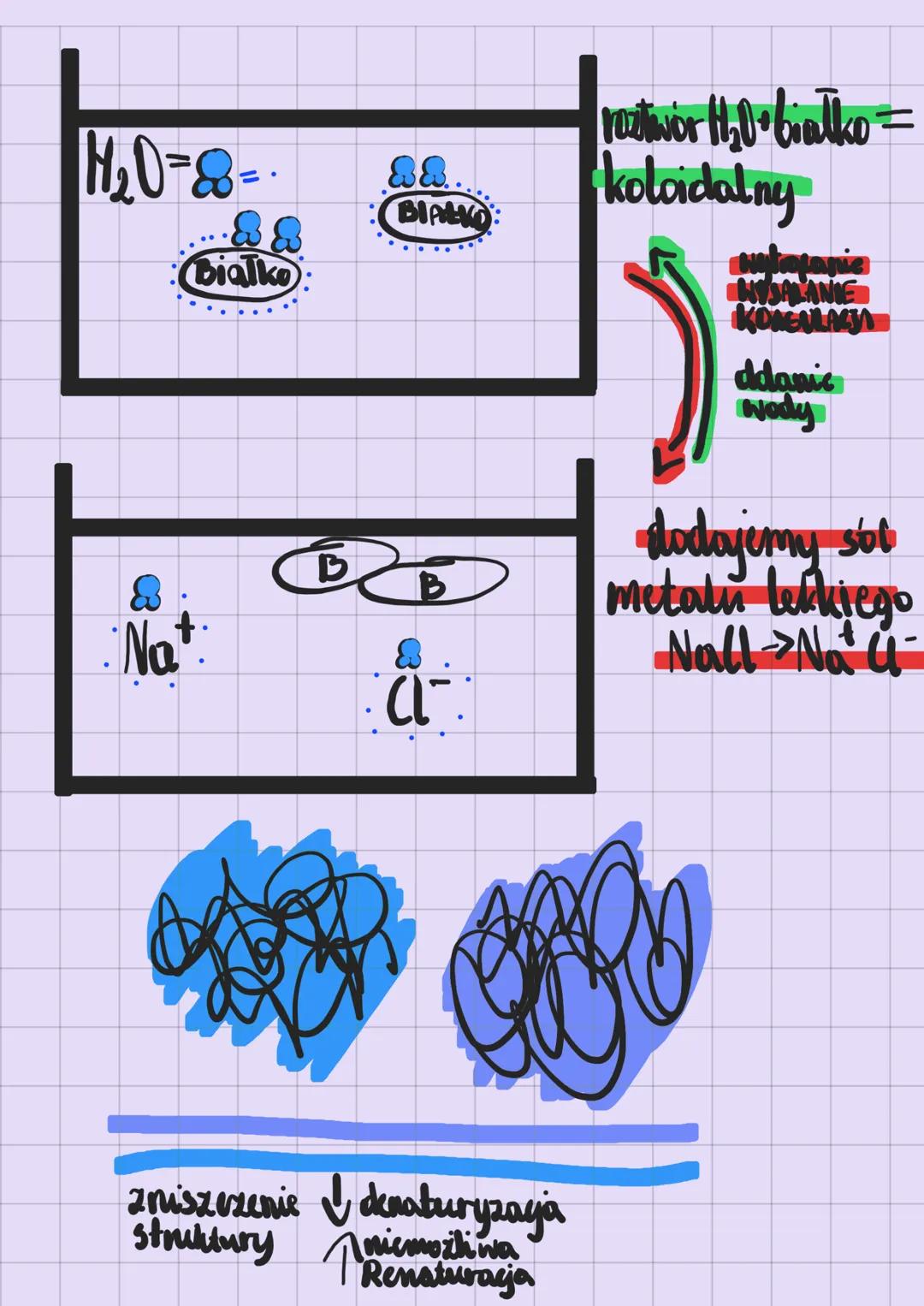 # Aminokwasy
Białko to budlec
-aminokwas
Bialko
to POLIMER !
fragment białka
Skład pierwiastkowy: C,H,O,N (5 czaść)
# AMINOKWAS
H
(gr.aminow