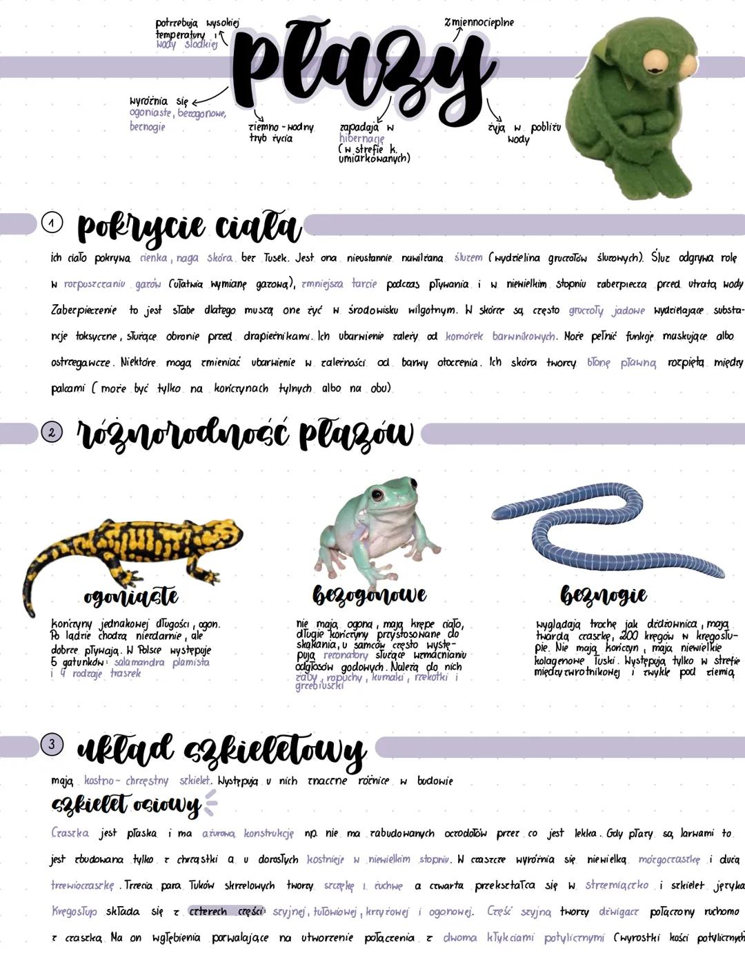 potrzebują wysokiej
temperatury
wody słodkiej
Zmiennocieplne
# plazy
wyróźnia się
ogoniaste, bezogonowe,
bernogie
ziemno - Hodny
tryb życ