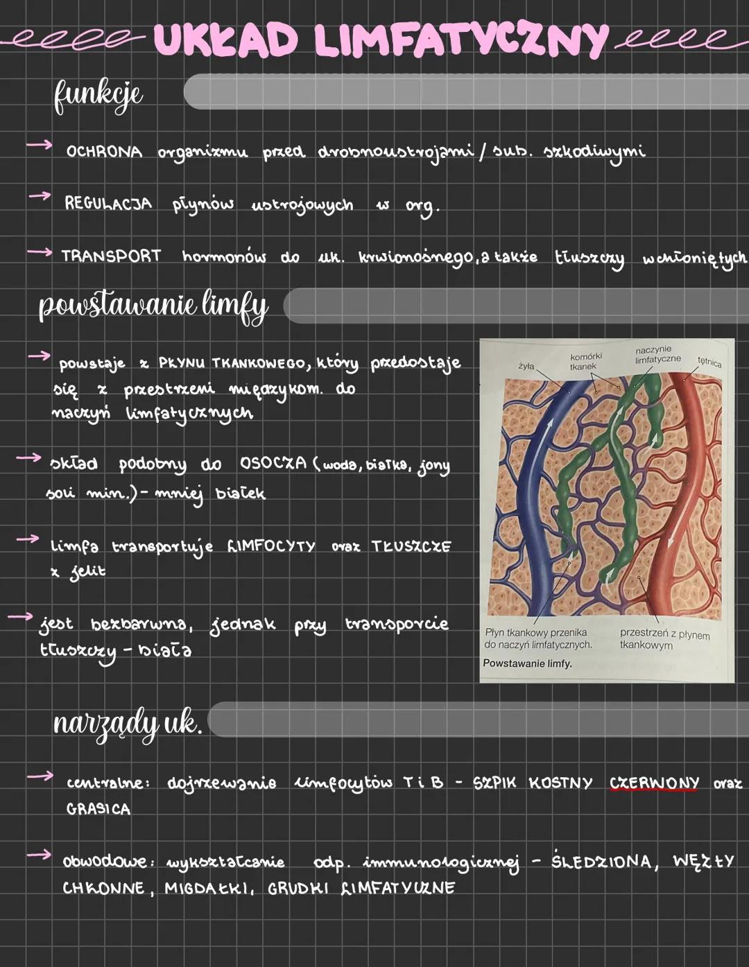 eeee UKŁAD LIMFATYCZNY eeee
funkcje
→ OCHRONA organizmu przed drobnoustrojami / sub. szkodiwymi
→ REGULACJA Plynów ustrojowych w org.
→