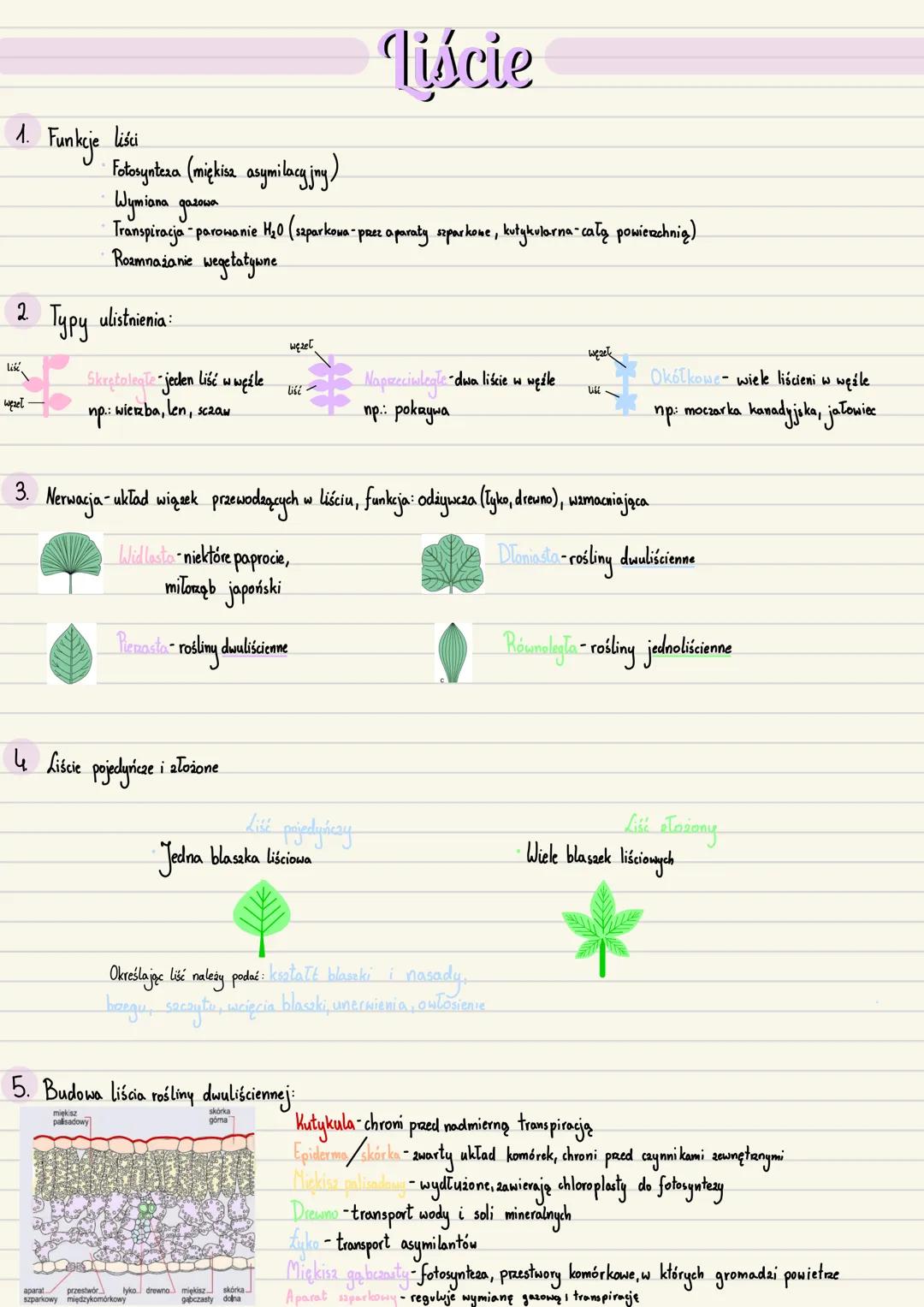 --- OCR Start ---
Zarodek
Początkowe stadium sporofitu roślin
1. Zavalak-młody, niedojnały sporofit, odżywia się substancjami pokarmowymi wy