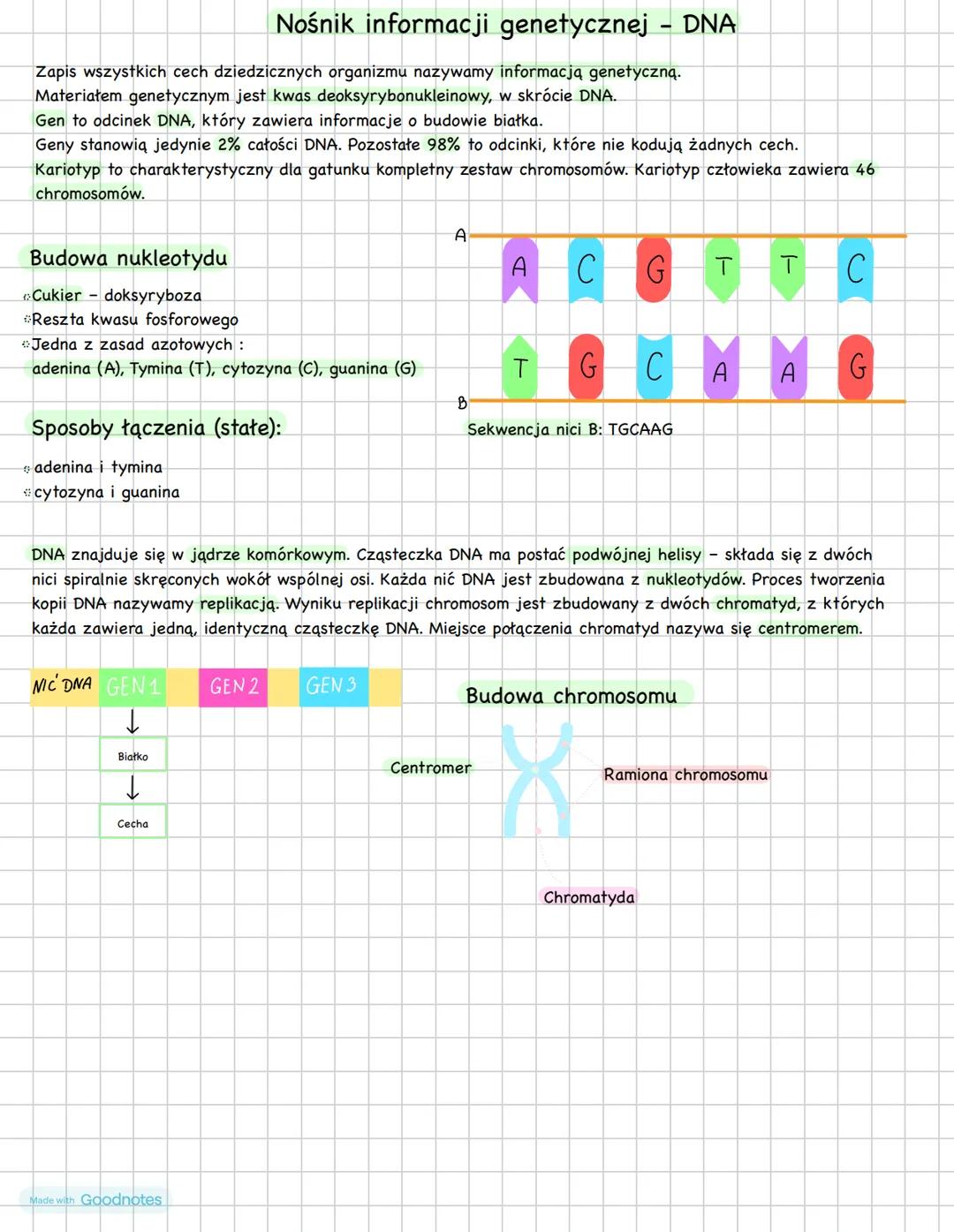 # Nośnik informacji genetycznej - DNA
Zapis wszystkich cech dziedzicznych organizmu nazywamy informacją genetyczną.
Materiałem genetycznym j