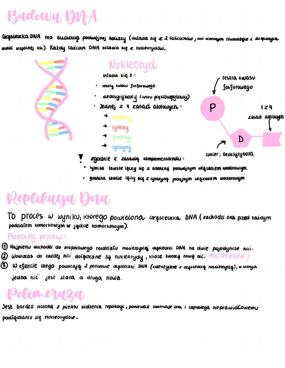 # Geny
Gen to podstawowa jednostka dziedziczenia. Pojedynczy gen zawiera w sobie fragment DNA, który zawiera info o budowie
białka lub cząs