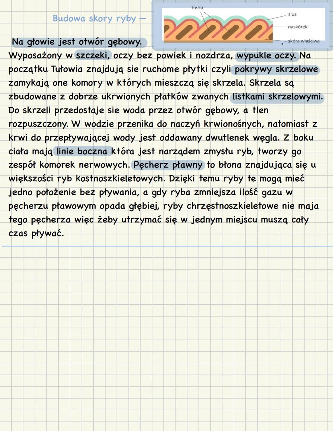 --- OCR Start ---
Ryby i kregowce cz.1
Mają wewnętrzny szkielet chrzęstny lub kostny. Jego ważną
częścią jest kręgosłup znajdujący sie po ra