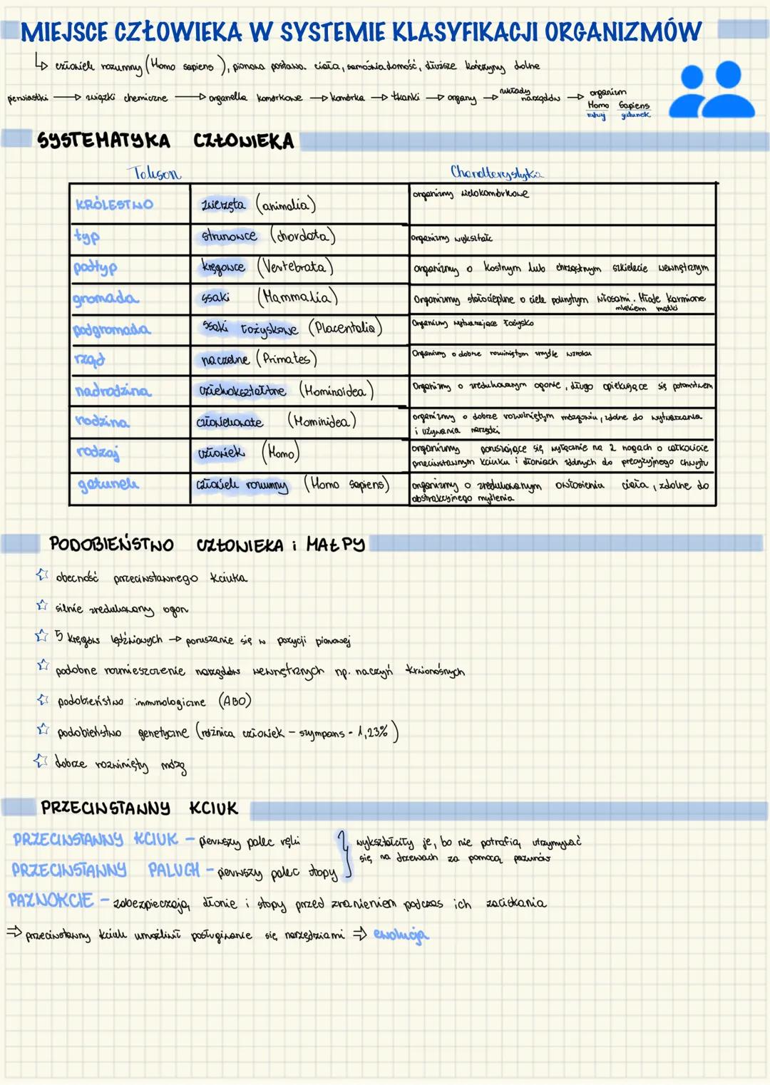 MIEJSCE CZŁOWIEKA W SYSTEMIE KLASYFIKACJI ORGANIZMÓW
L↳ exianiele rozumny (Homo sapiens), pionora portano, ciała, semócría domość, divższe k