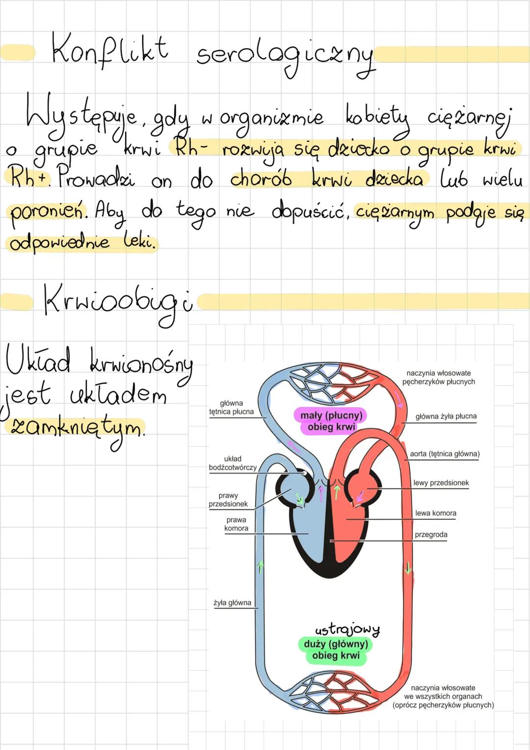 # układ krwionośny
Funkcje krwi
* dostarcza tlen i substancje odżywcze
do wszystkich komórek organizmu
* odbiera & komórek dwutlenek w