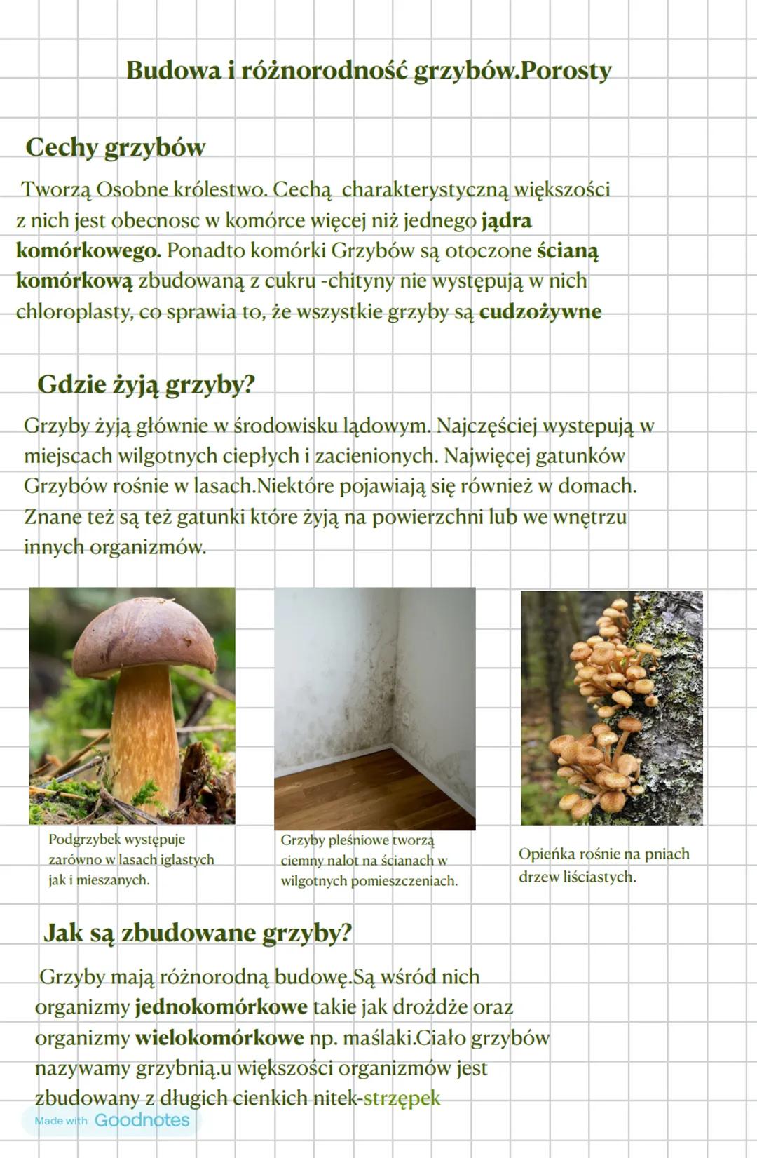 --- OCR Start ---
Budowa i różnorodność grzybów. Porosty
Cechy grzybów
Tworzą Osobne królestwo. Cechą charakterystyczną większości
z nich je