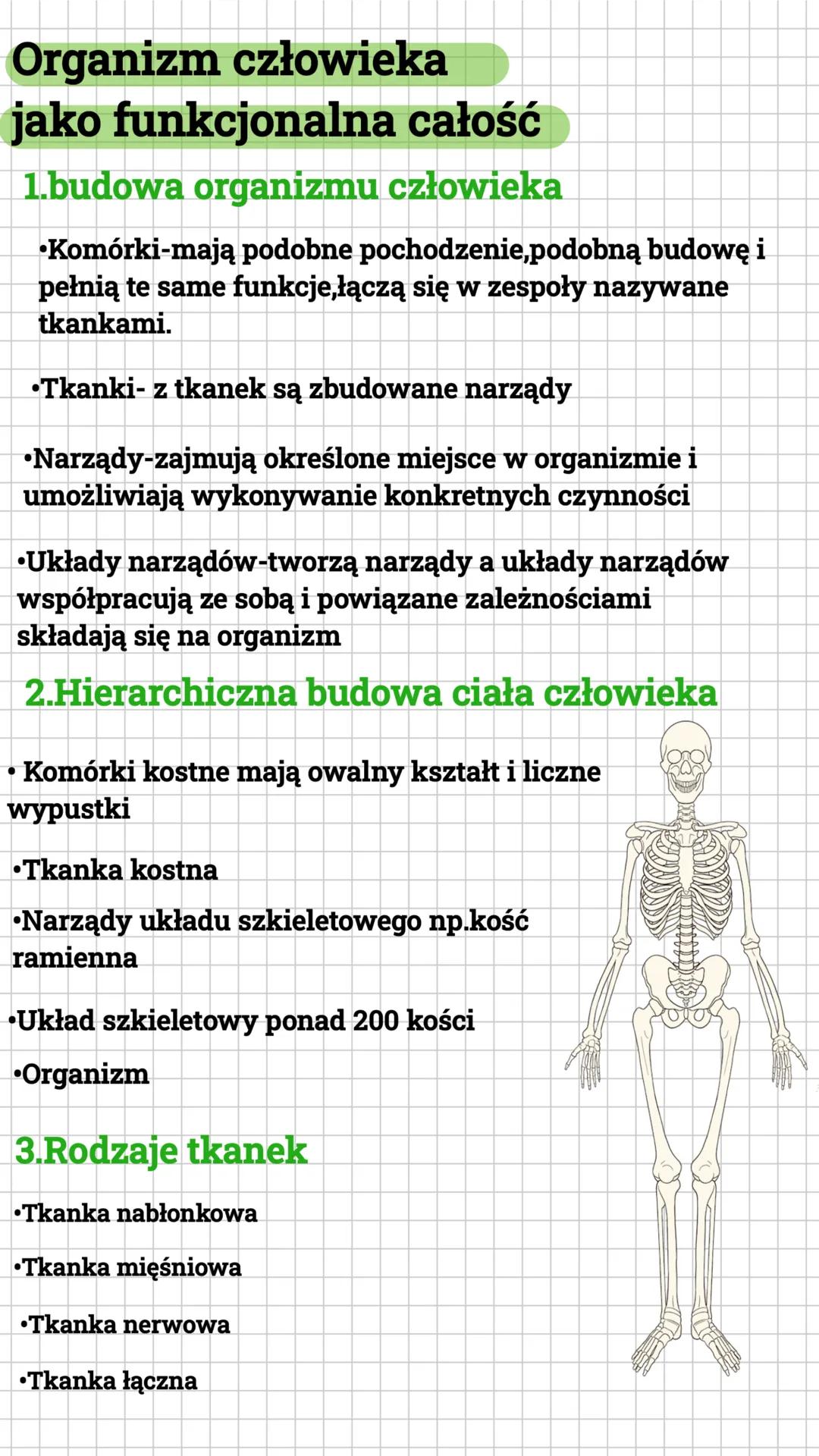 --- OCR Start ---
Organizm człowieka
jako funkcjonalna całość
1.budowa organizmu człowieka
•Komórki-mają podobne pochodzenie, podobną budowę