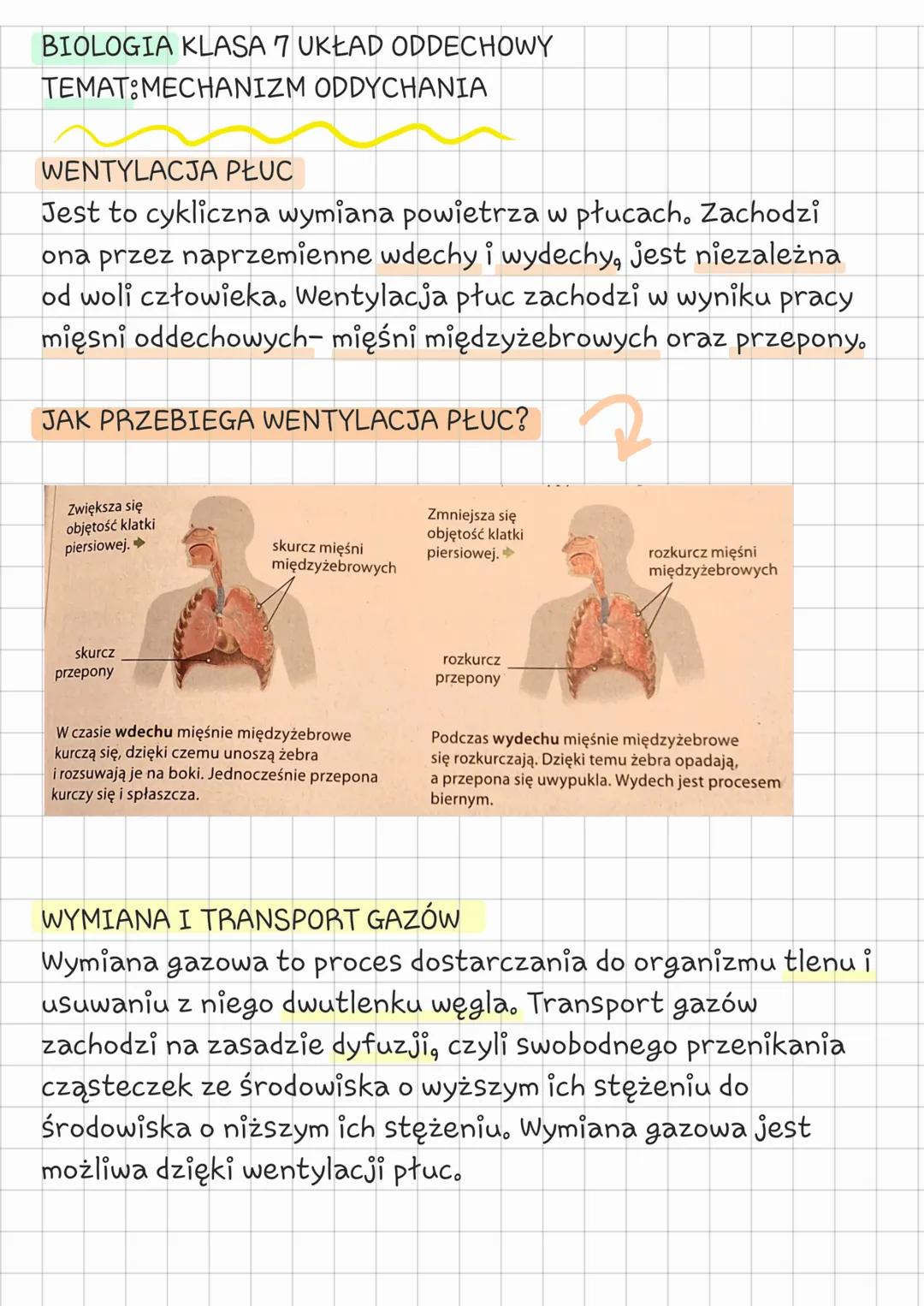 --- OCR Start ---
BIOLOGIA KLASA 7 UKŁAD ODDECHOWY
TEMAT:MECHANIZM ODDYCHANIA
WENTYLACJA PŁUC
Jest to cykliczna wymiana powietrza w płucach.