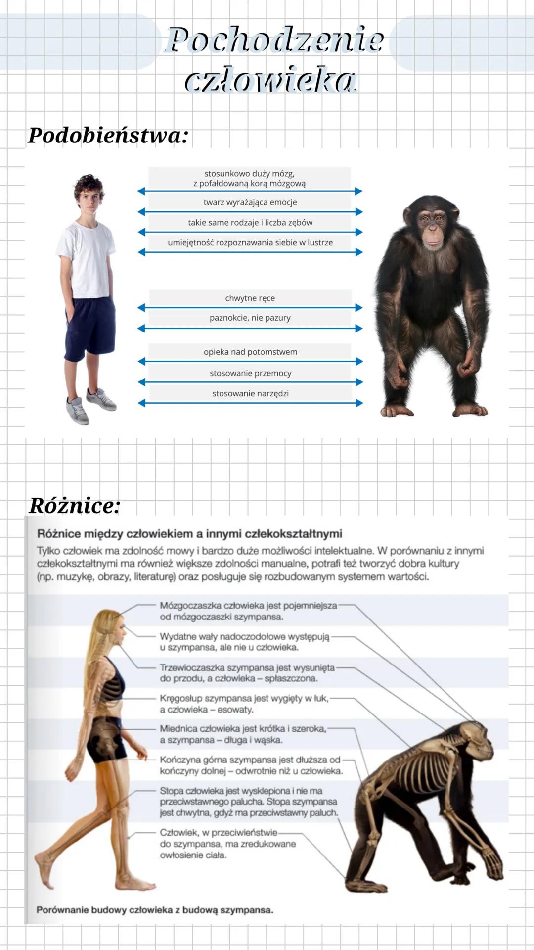 # Źródła wiedzy o
ewlinewolucji
Ewolucja - proces stopniowych zmian budowy ciała, sposobu życia,
upodobań pokarmowych lub innych cech gatun