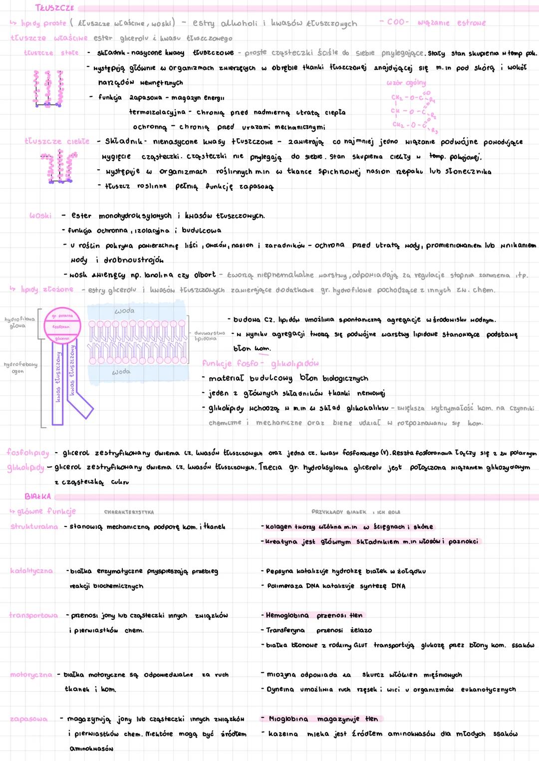 # Składniki organiczne
SA CHARYDY
- monosacharydy (glukoza, fruktoza, galaktoza, ryboza, deoksyryboza) od 3 do 7 at węgla w cząsteczce, Obe