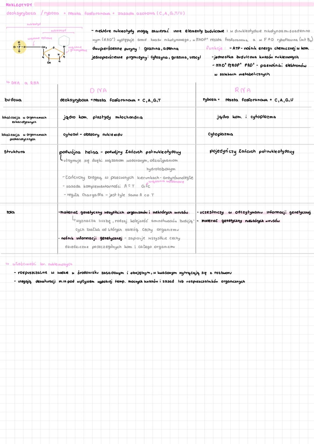 # Składniki organiczne
SA CHARYDY
- monosacharydy (glukoza, fruktoza, galaktoza, ryboza, deoksyryboza) od 3 do 7 at węgla w cząsteczce, Obe