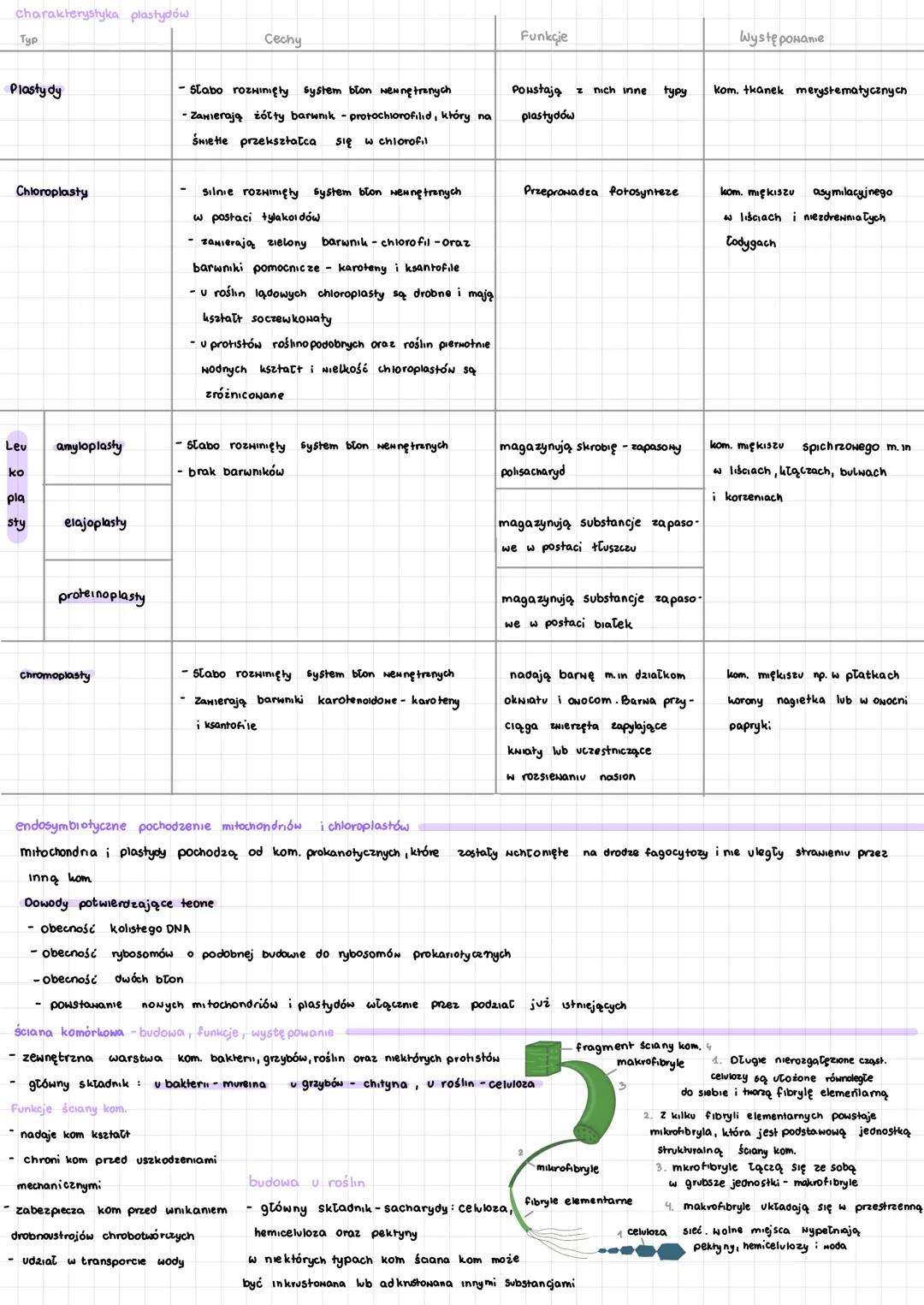 # komórka
elementy budowy komórki eukariotycznej (na preparacie mikroskoponym, na makrofotografiu, rysunku wo schemacie)
komórka roślinna.