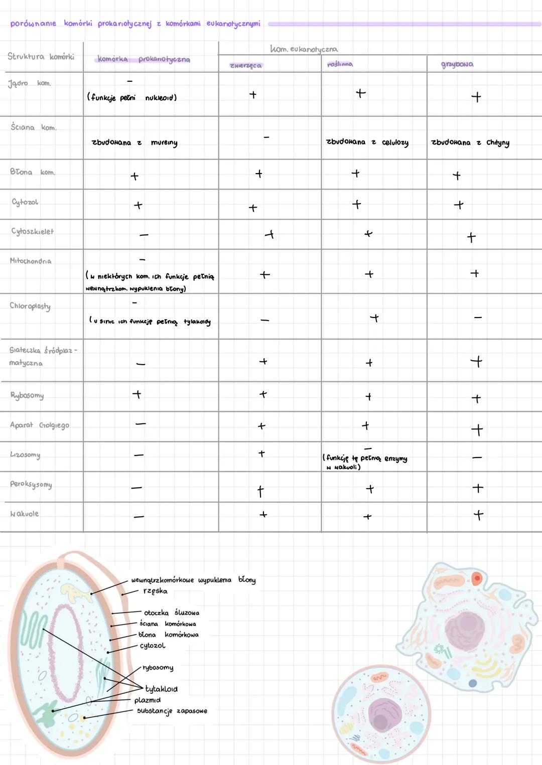 # komórka
elementy budowy komórki eukariotycznej (na preparacie mikroskoponym, na makrofotografiu, rysunku wo schemacie)
komórka roślinna.