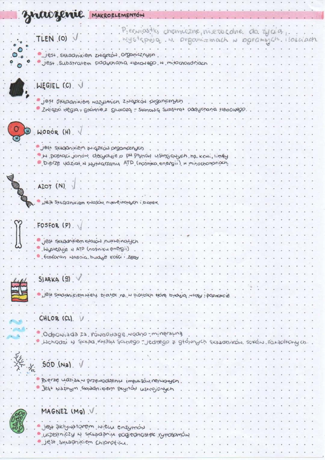 --- OCR Start ---
Znaczenie MAKROELEMENTÓW
TLEN (0) V
Pierwiastki chemiczne, niezocaine, do życia...
występują. w. organizmach w ogramych. i