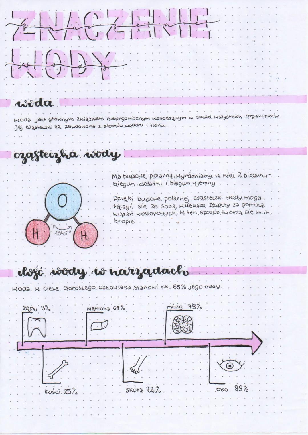 --- OCR Start ---
ZNA CZENIE
WODY
woda
woda jest głównym związkiem nieorganicznym wchodzącym w skead, wszystkich organizmów
Jej cząsteczki s