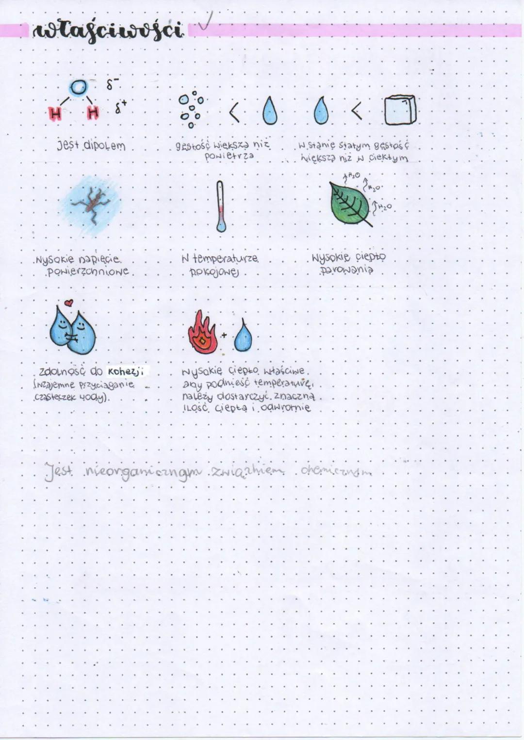 --- OCR Start ---
ZNA CZENIE
WODY
woda
woda jest głównym związkiem nieorganicznym wchodzącym w skead, wszystkich organizmów
Jej cząsteczki s