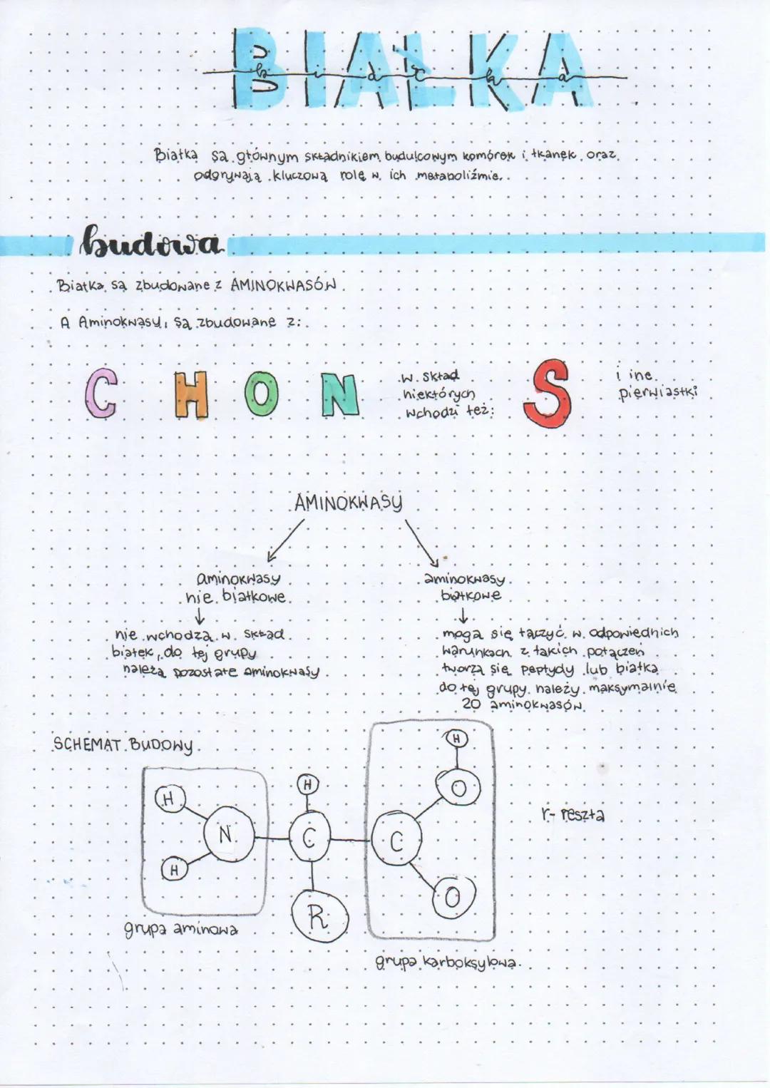 Aminokwasy. Budowa i funkcje białek