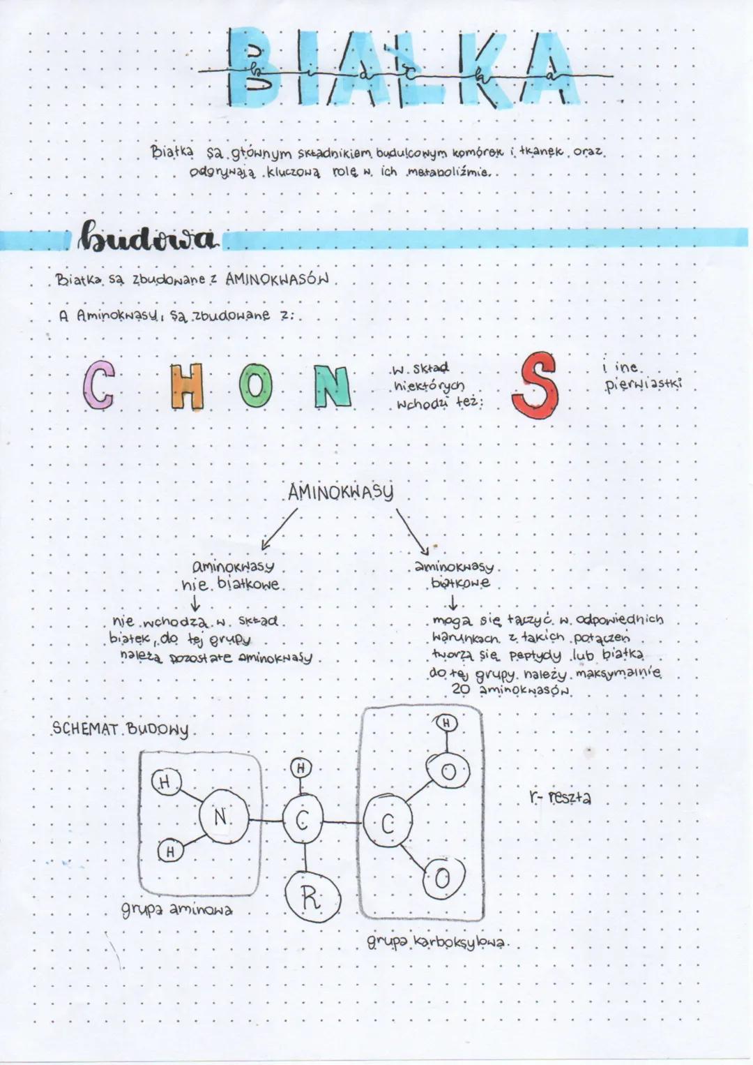 --- OCR Start ---
BIATKA
Biątka sa głównym skradnikiem budulcowym komórek i tkanek, oraz,
odgrywają kluczową rolę w ich metabolizmie..
budow
