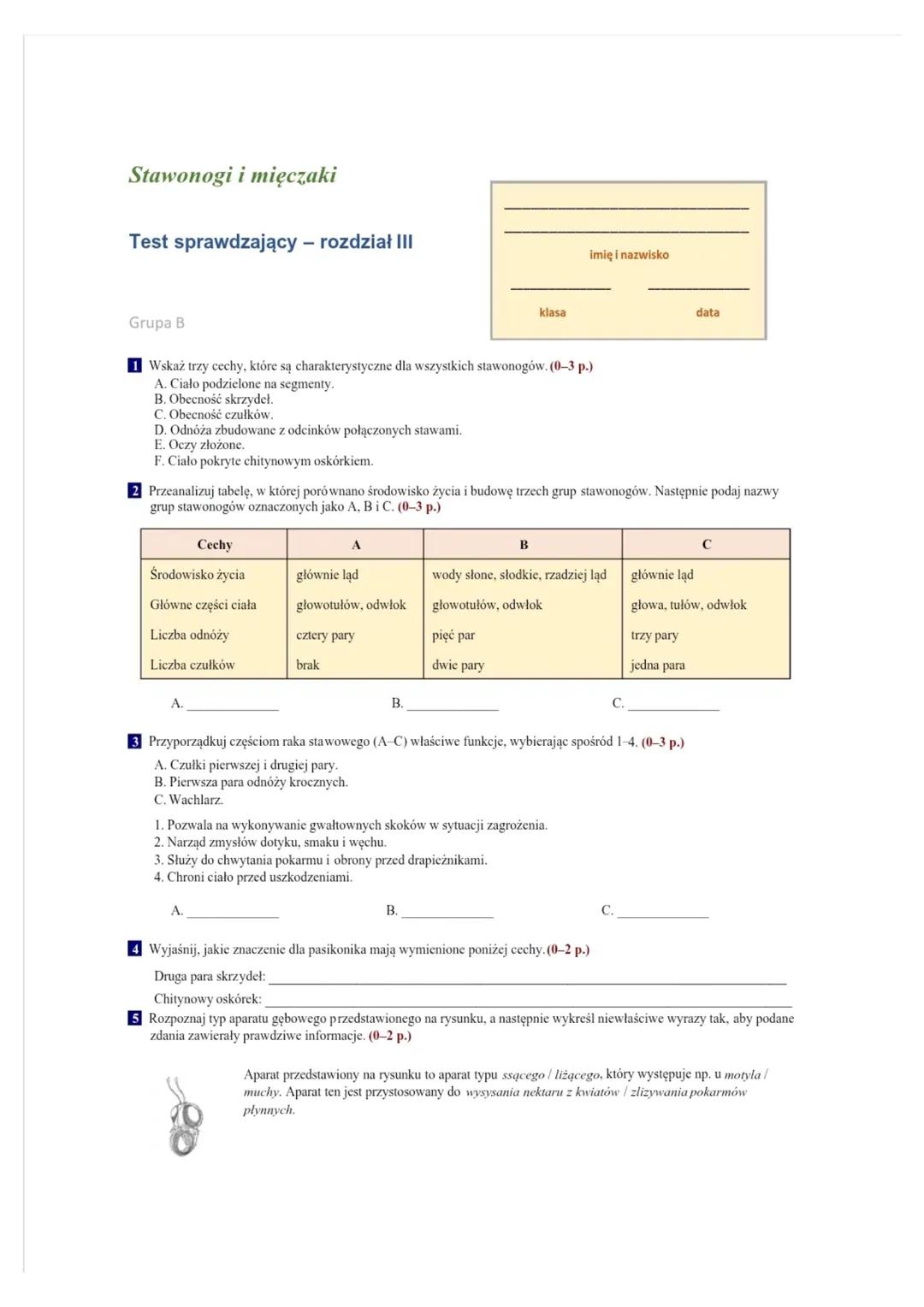 # Test sprawdzający - rozdział III
klasa
imię i nazwisko
Grupa A
1 Wskaż trzy cechy, które są charakterystyczne dla wszystkich stawonogó