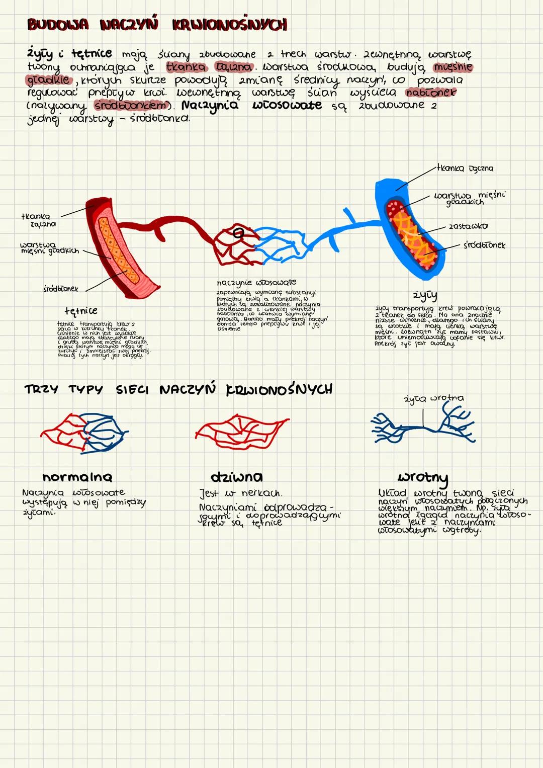 # Skład i funkcje krwi
1. Funkcje i główne składniki krwi
to tkanka prynna (ięczno), w znacznej miene składa się z wody.
Składa się 2 skīα