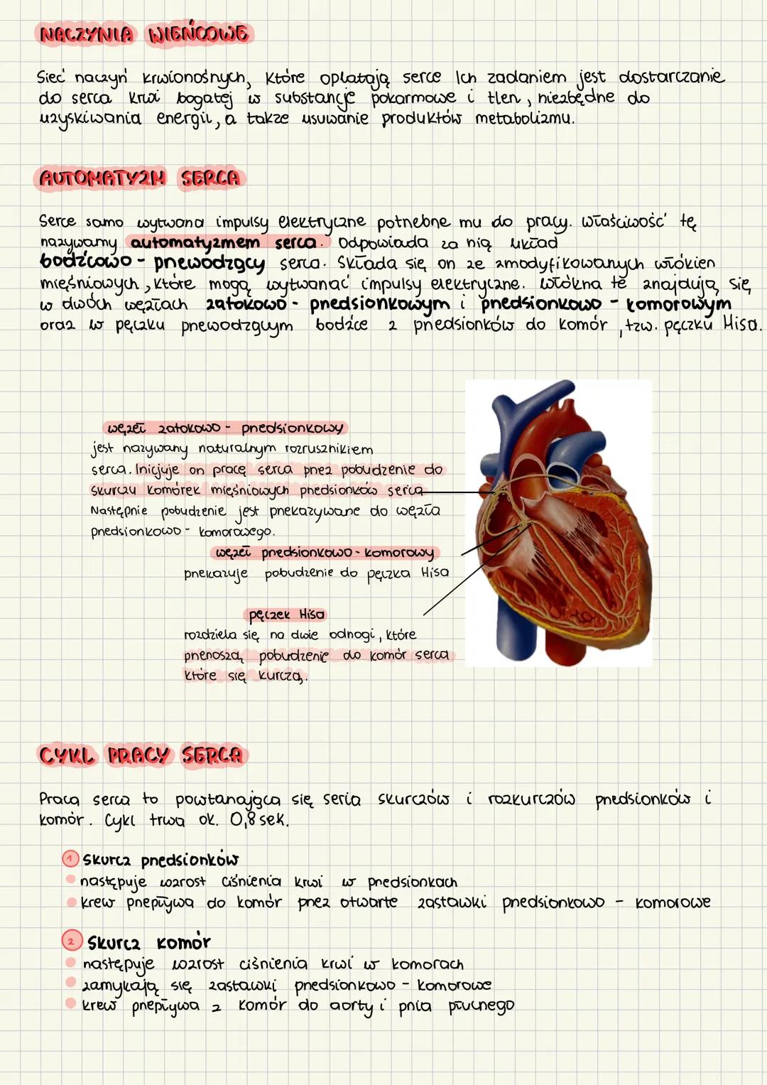 # Skład i funkcje krwi
1. Funkcje i główne składniki krwi
to tkanka prynna (ięczno), w znacznej miene składa się z wody.
Składa się 2 skīα
