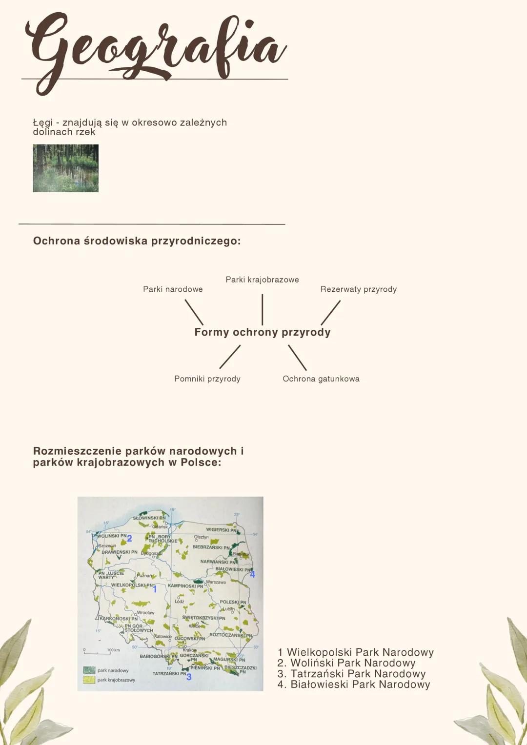 # Geografia
Czynniki krztałtujące klimat:
-ilość energii słonecznej
-położenie nad morzem
bałtyckim
-ciepłe prądy morskie
-ukształtowanie p