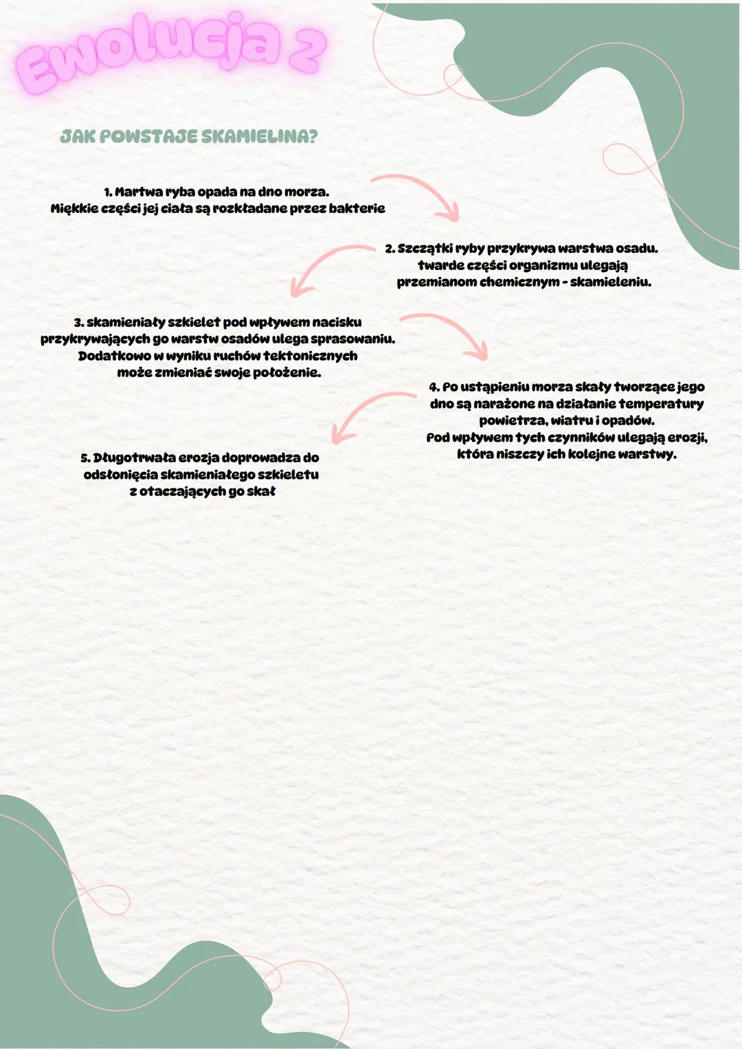 --- OCR Start ---
Ewolucja 1
EWOLUCJA-proces stopniowych, utrwalanych w kolejnych pokoleniach
zmian, które prowadzą do powstania nowych gatu