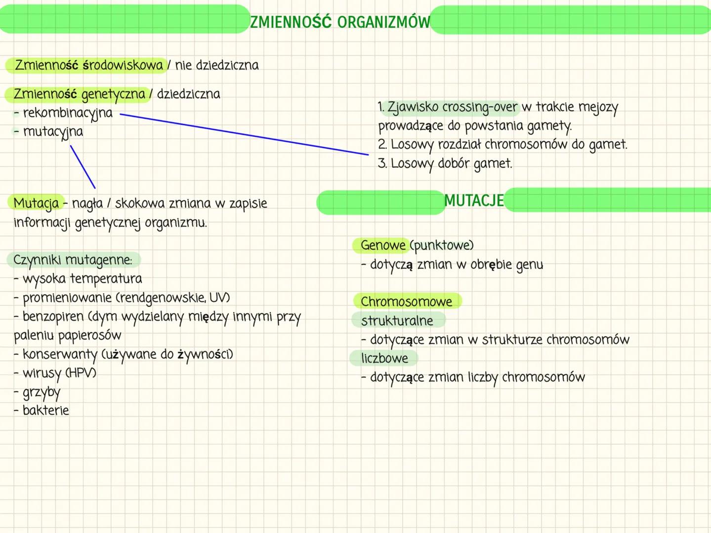 # I PRAWO MENDLA
Fenotyp to widoczne cechy organizmu oraz cechy fizjologiczne i biochemiczne.
Genotyp to zespół wszystkich genów organizmu