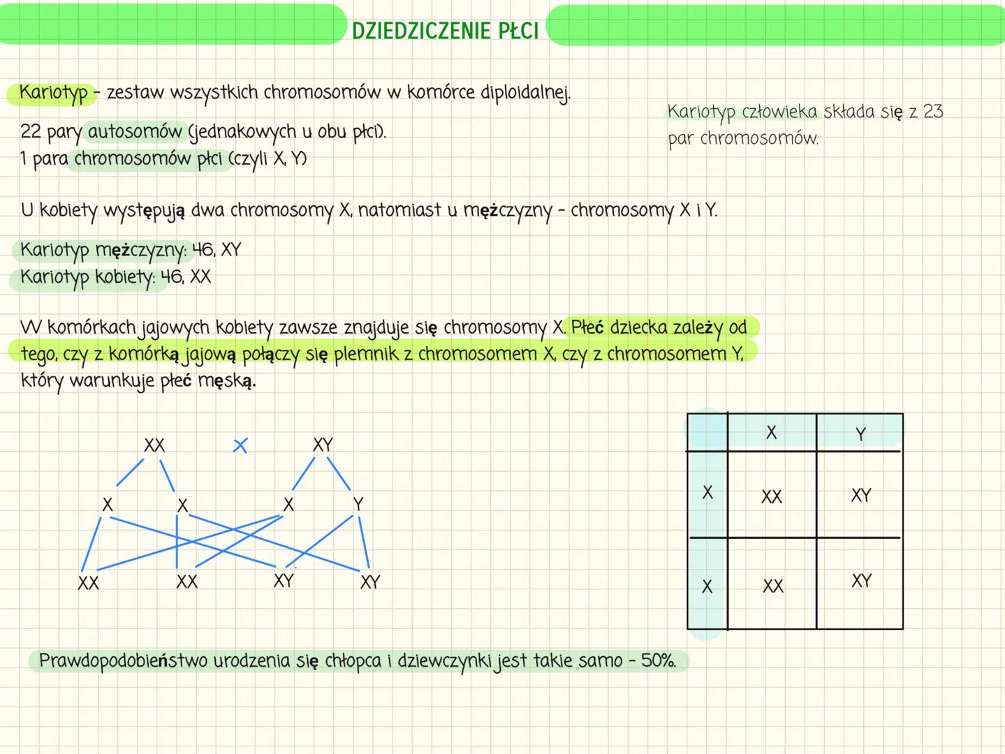# I PRAWO MENDLA
Fenotyp to widoczne cechy organizmu oraz cechy fizjologiczne i biochemiczne.
Genotyp to zespół wszystkich genów organizmu