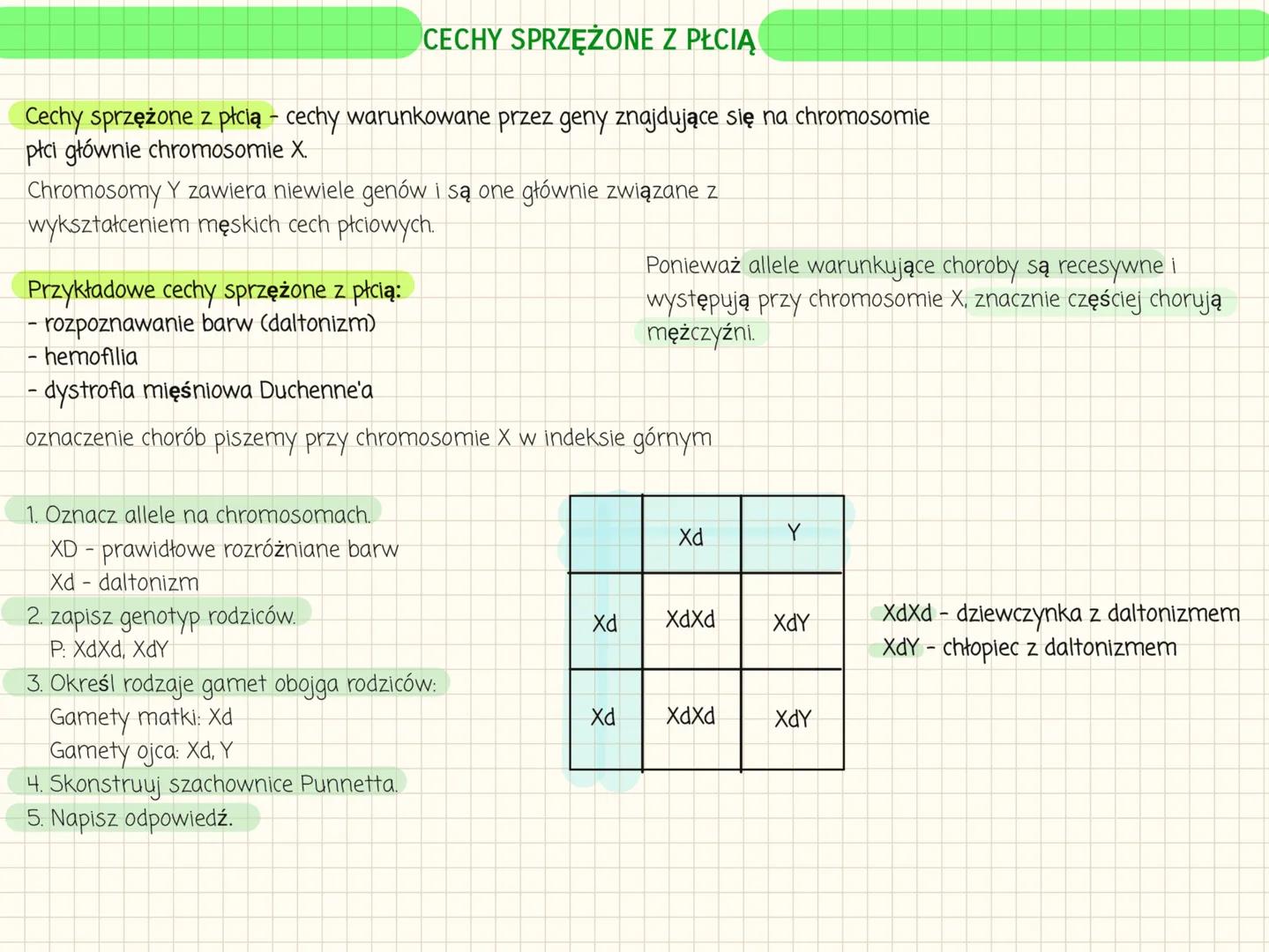 # I PRAWO MENDLA
Fenotyp to widoczne cechy organizmu oraz cechy fizjologiczne i biochemiczne.
Genotyp to zespół wszystkich genów organizmu