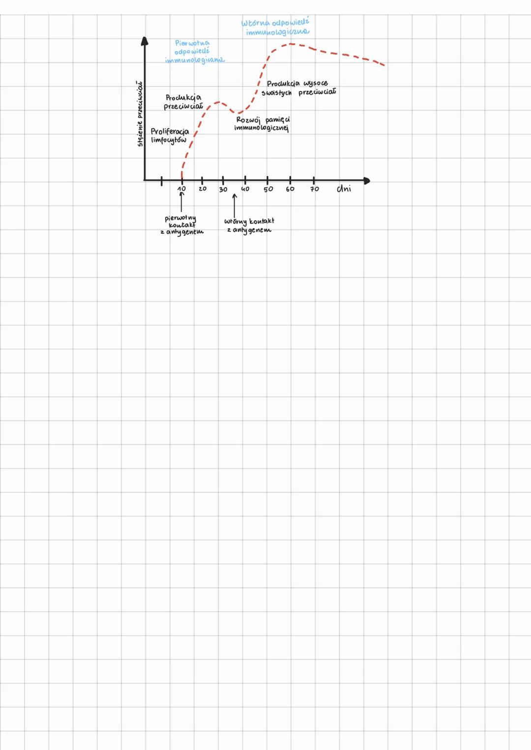 # RODZAJE I MECHANIZMY
linia II
linia T
linia ili
ODPORNOŚĆ NIESWOISTA - wrodzowa, działanie
przeciwko wszystkim patogenom
~ morfologic