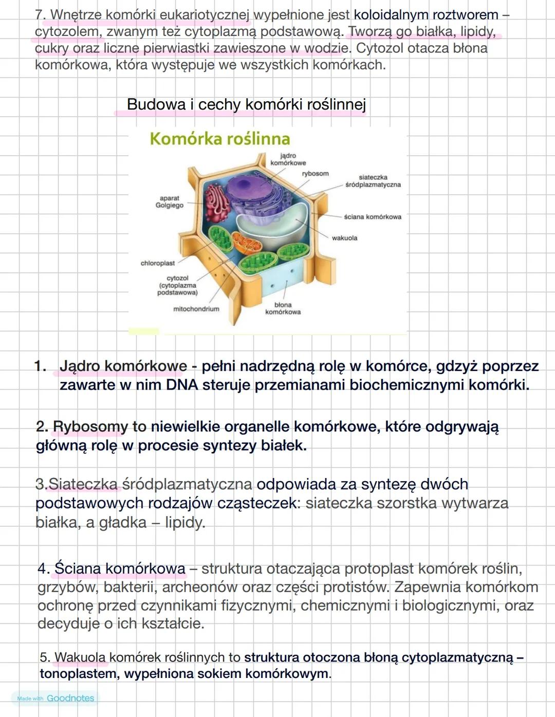 # Budowa i cechy komórki zwierzęcej
1. Budowa jądra komórkowego: Jądro komórkowe zawiera DNA, w którym jest zapisana
informacja o budowie c