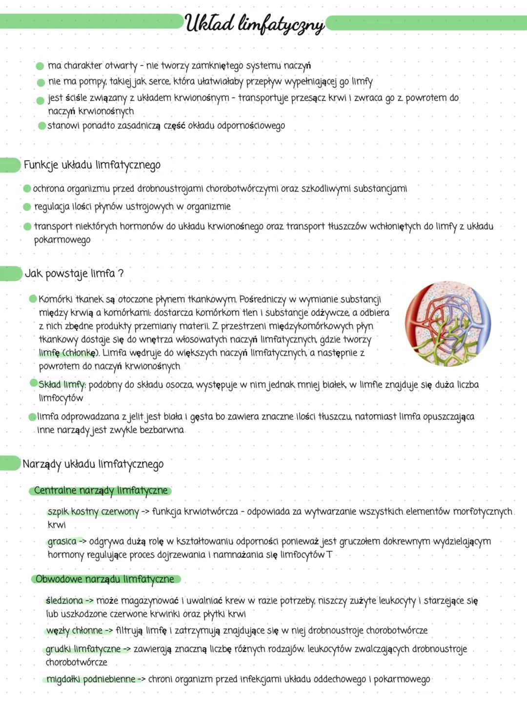 # Układ limfatyczny
⚫ma charakter otwarty - nie tworzy zamkniętego systemu naczyń
⚫ nie ma pompy, takiej jak serce, która ułatwiałaby prze
