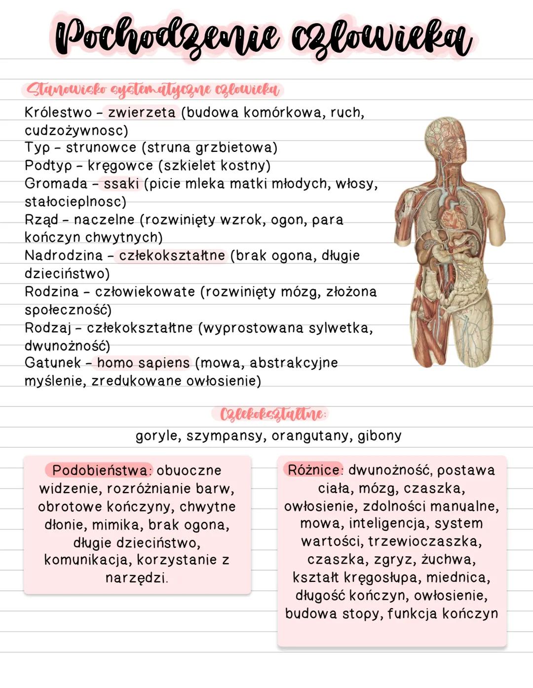 # Pochodzenie czlowieka
Stanowisko systematyczne ozlowieka
Królestwo - zwierzeta (budowa komórkowa, ruch,
cudzożywnosc)
Typ strunowce (str