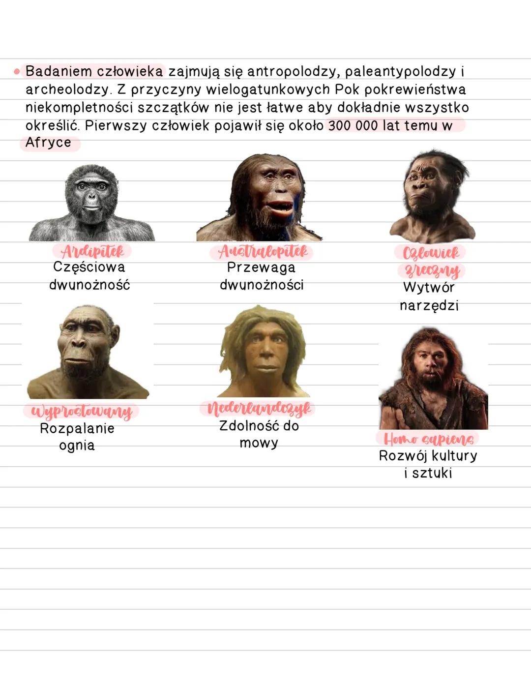# Pochodzenie czlowieka
Stanowisko systematyczne ozlowieka
Królestwo - zwierzeta (budowa komórkowa, ruch,
cudzożywnosc)
Typ strunowce (str