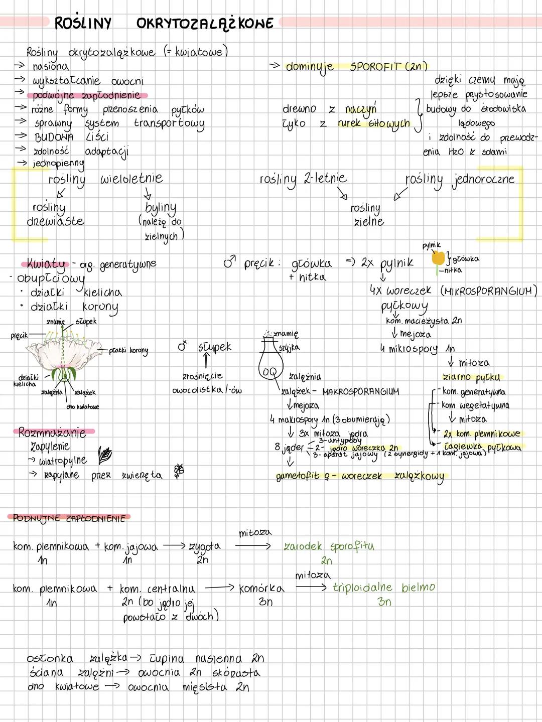# ROŚLINY NASIENNE. ROŚLINY NAGOZALĄŻKONE
Rośliny nasienne
- nagonasienne
- okrytonasienne
→rozprestrenianie
→ heteromor ficzna
→
róż